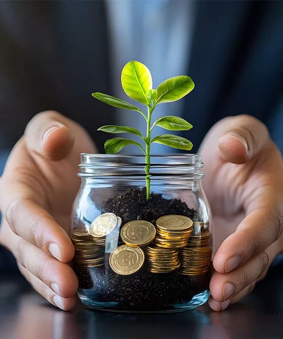 Plant growing in coin jar