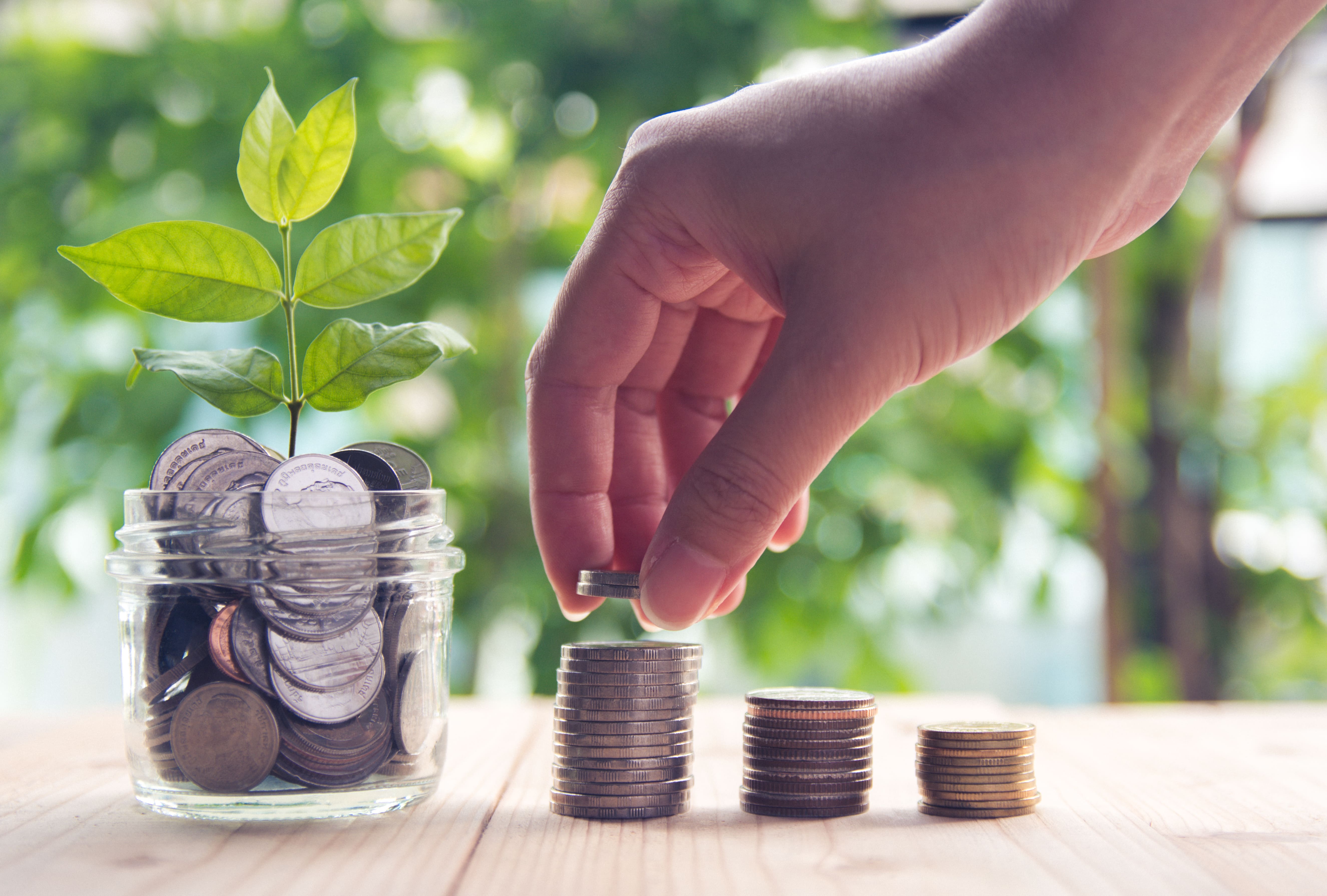 Term Life vs. Whole Life Insurance: Understanding the Difference